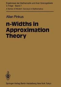 bokomslag n-Widths in Approximation Theory