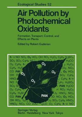 Robert Guderian - Air Pollution by Photochemical Oxidants, Häftad