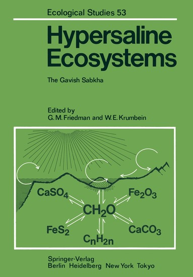 bokomslag Hypersaline Ecosystems