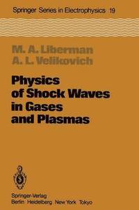 bokomslag Physics of Shock Waves in Gases and Plasmas