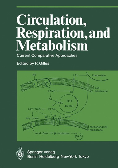 bokomslag Circulation, Respiration, and Metabolism