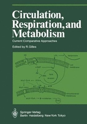 Circulation, Respiration, and Metabolism 1