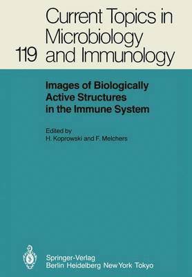 Images of Biologically Active Structures in the Immune System 1