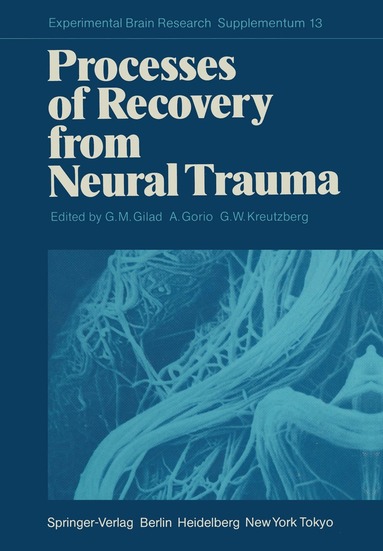 Gad M. Gilad, Alfredo Gorio, G.W. Kreutzberg - Processes of Recovery from Neural Trauma, Häftad
