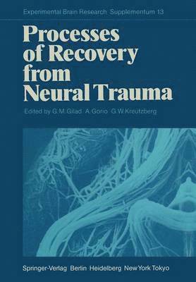 Gad M. Gilad, Alfredo Gorio, G.W. Kreutzberg, G. W. Kreutzberg - Processes of Recovery from Neural Trauma, Häftad