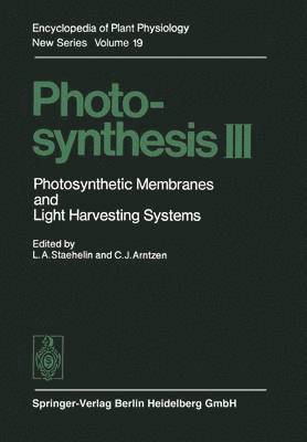 Photosynthesis III 1
