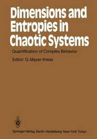 bokomslag Dimensions and Entropies in Chaotic Systems