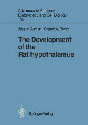 bokomslag Development of the Rat Hypothalamus