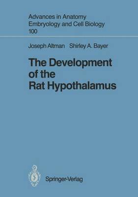 The Development of the Rat Hypothalamus 1