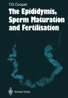 The Epididymis, Sperm Maturation and Fertilisation 1