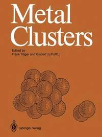 bokomslag Metal Clusters
