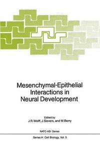 bokomslag Mesenchymal-Epithelial Interactions in Neural Development