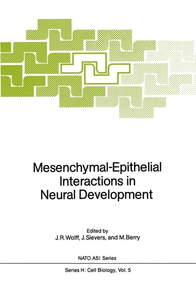 Joachim R. Wolff, Jobst Sievers, Martin Berry - Mesenchymal-Epithelial Interactions in Neural Development, Häftad