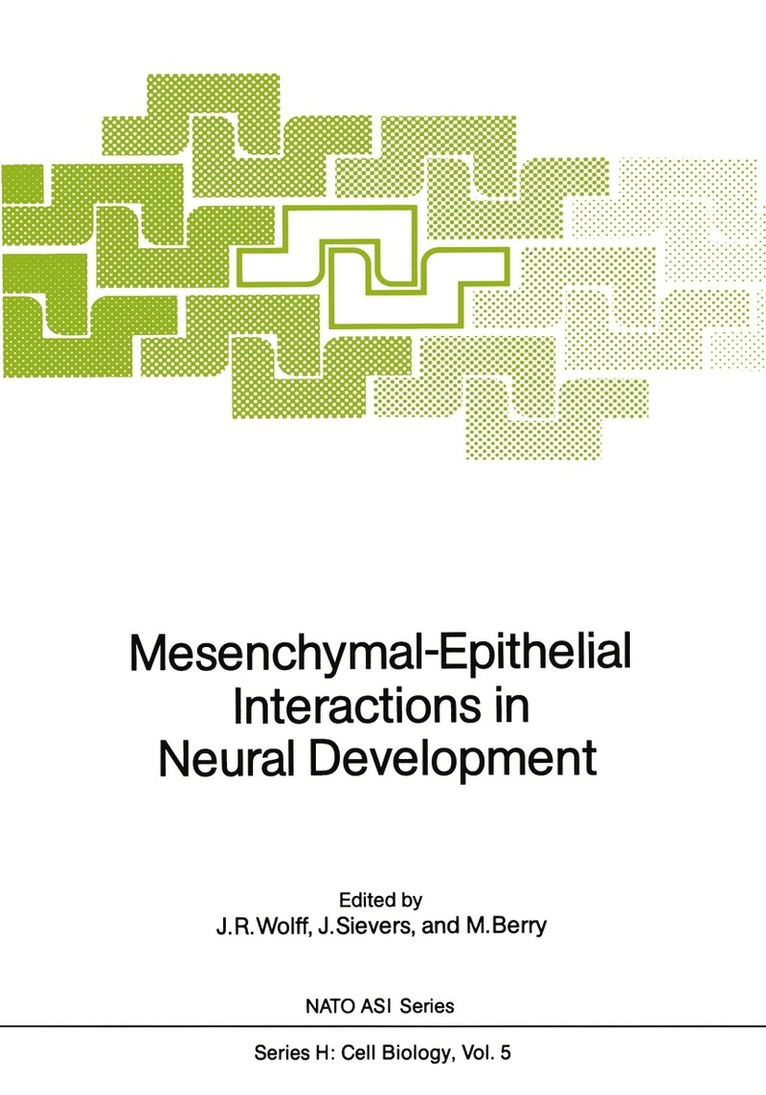 Joachim R. Wolff, Jobst Sievers, Martin Berry - Mesenchymal-Epithelial Interactions in Neural Development, Häftad