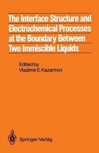 bokomslag The Interface Structure and Electrochemical Processes at the Boundary Between Two Immiscible Liquids