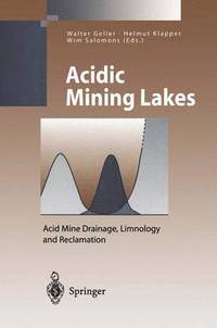 bokomslag Acidic Mining Lakes