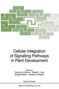 bokomslag Cellular Integration of Signalling Pathways in Plant Development