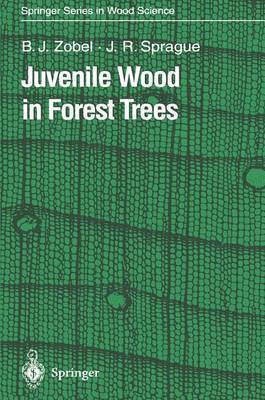 bokomslag Juvenile Wood in Forest Trees