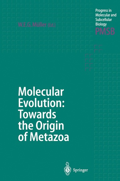 bokomslag Molecular Evolution: Towards the Origin of Metazoa