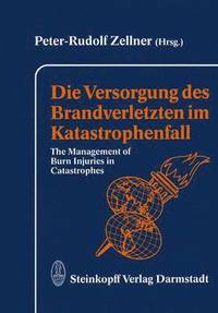 bokomslag Die Versorgung des Brandverletzten im Katastrophenfall