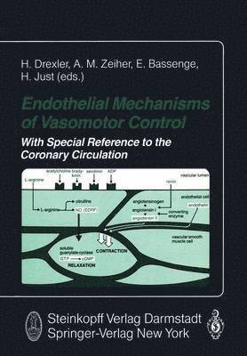 bokomslag Endothelial Mechanisms of Vasomotor Control