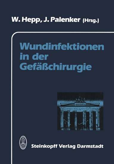 W. Hepp, J. Palenker - Wundinfektionen in der Gefäßchirurgie, Häftad