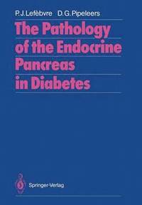 bokomslag The Pathology of the Endocrine Pancreas in Diabetes