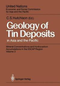 bokomslag Geology of Tin Deposits in Asia and the Pacific