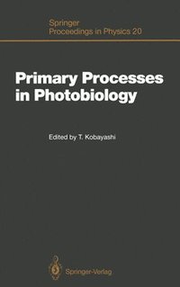 bokomslag Primary Processes in Photobiology