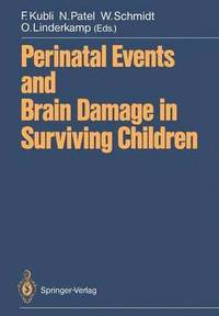 bokomslag Perinatal Events and Brain Damage in Surviving Children