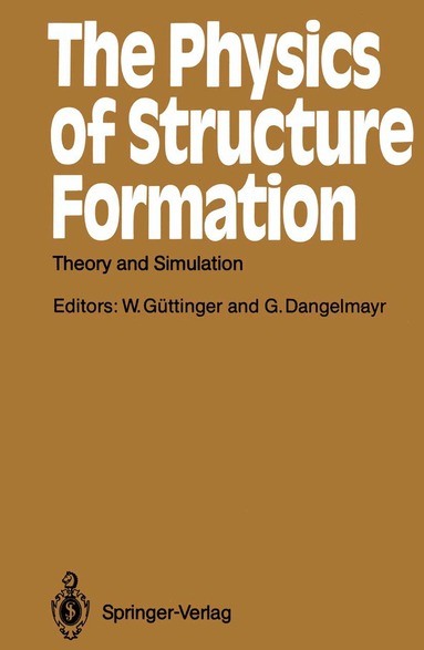 Werner Güttinger, Gerhard Dangelmayr - Physics of Structure Formation, Häftad