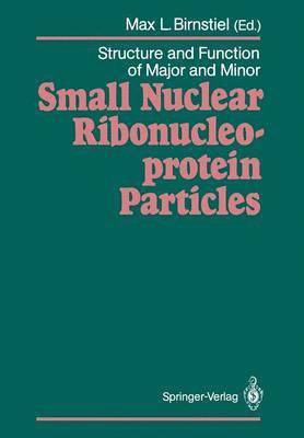 bokomslag Structure and Function of Major and Minor Small Nuclear Ribonucleoprotein Particles