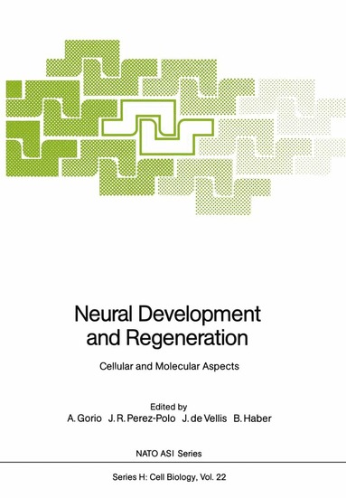 A. Gorio, J.R. Perez-Polo, J. de Vellis, B. Haber - Neural Development and Regeneration, Häftad