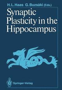 bokomslag Synaptic Plasticity in the Hippocampus