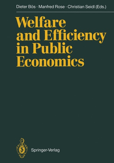 bokomslag Welfare and Efficiency in Public Economics