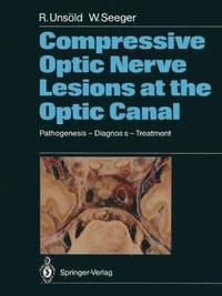 bokomslag Compressive Optic Nerve Lesions at the Optic Canal