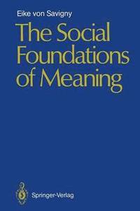 bokomslag Social Foundations of Meaning