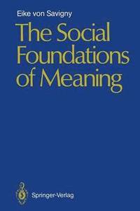 bokomslag The Social Foundations of Meaning