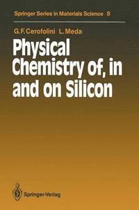 bokomslag Physical Chemistry of, in and on Silicon