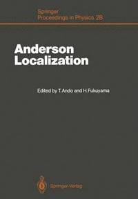 bokomslag Anderson Localization