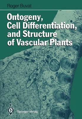 bokomslag Ontogeny, Cell Differentiation, and Structure of Vascular Plants