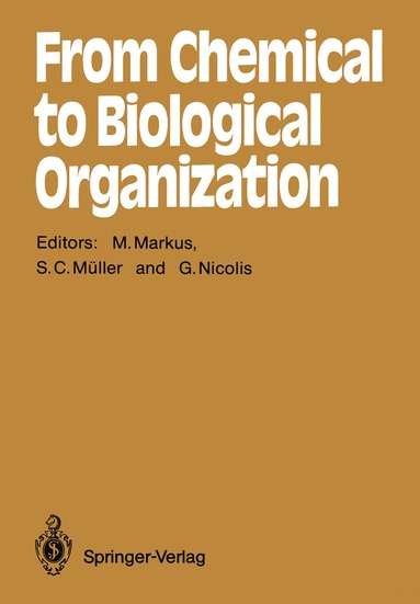 Mario Markus, Stefan C. Müller, Gregoire Nicolis - From Chemical to Biological Organization, Häftad