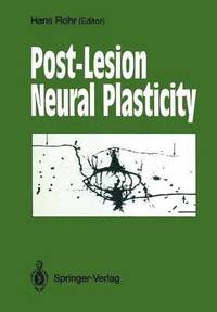 bokomslag Post-Lesion Neural Plasticity