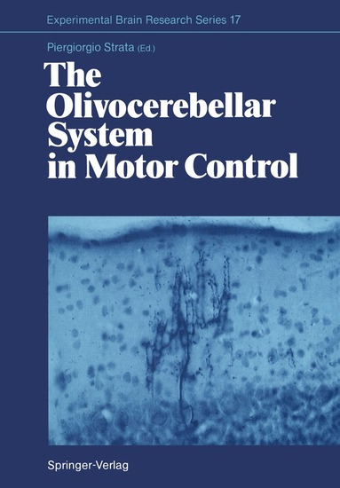Piergiorgio Strata - Olivocerebellar System in Motor Control, Häftad