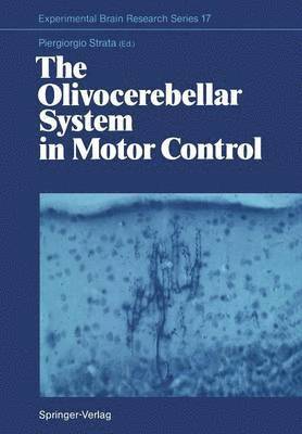 bokomslag The Olivocerebellar System in Motor Control