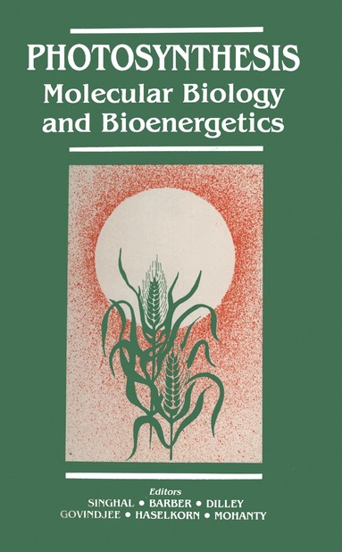 G.S. Singhal, James Barber, Richard A. Dilley, Govindjee, Robert Haselkorn, Prasanna Mohanty - Photosynthesis, Häftad