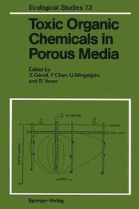 bokomslag Toxic Organic Chemicals in Porous Media