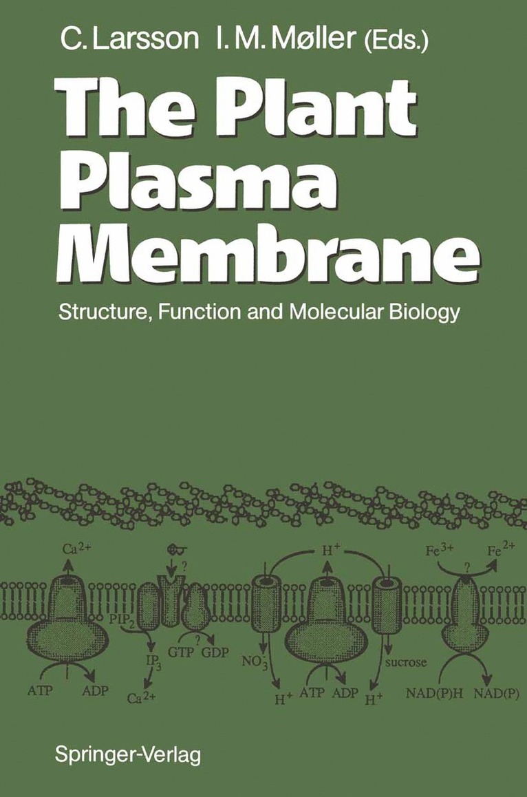 The Plant Plasma Membrane 1