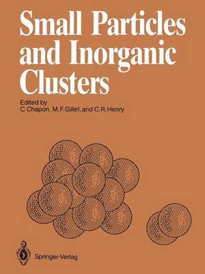 Small Particles and Inorganic Clusters 1