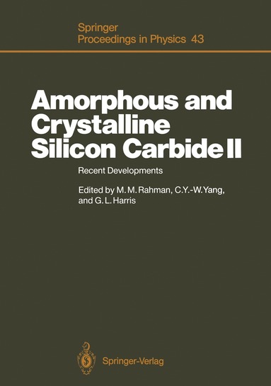 bokomslag Amorphous and Crystalline Silicon Carbide II